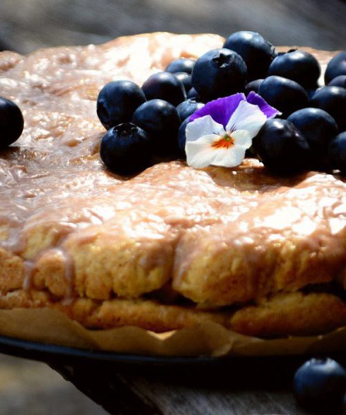 vlaai-600×600-1 vlaai-600x600-1